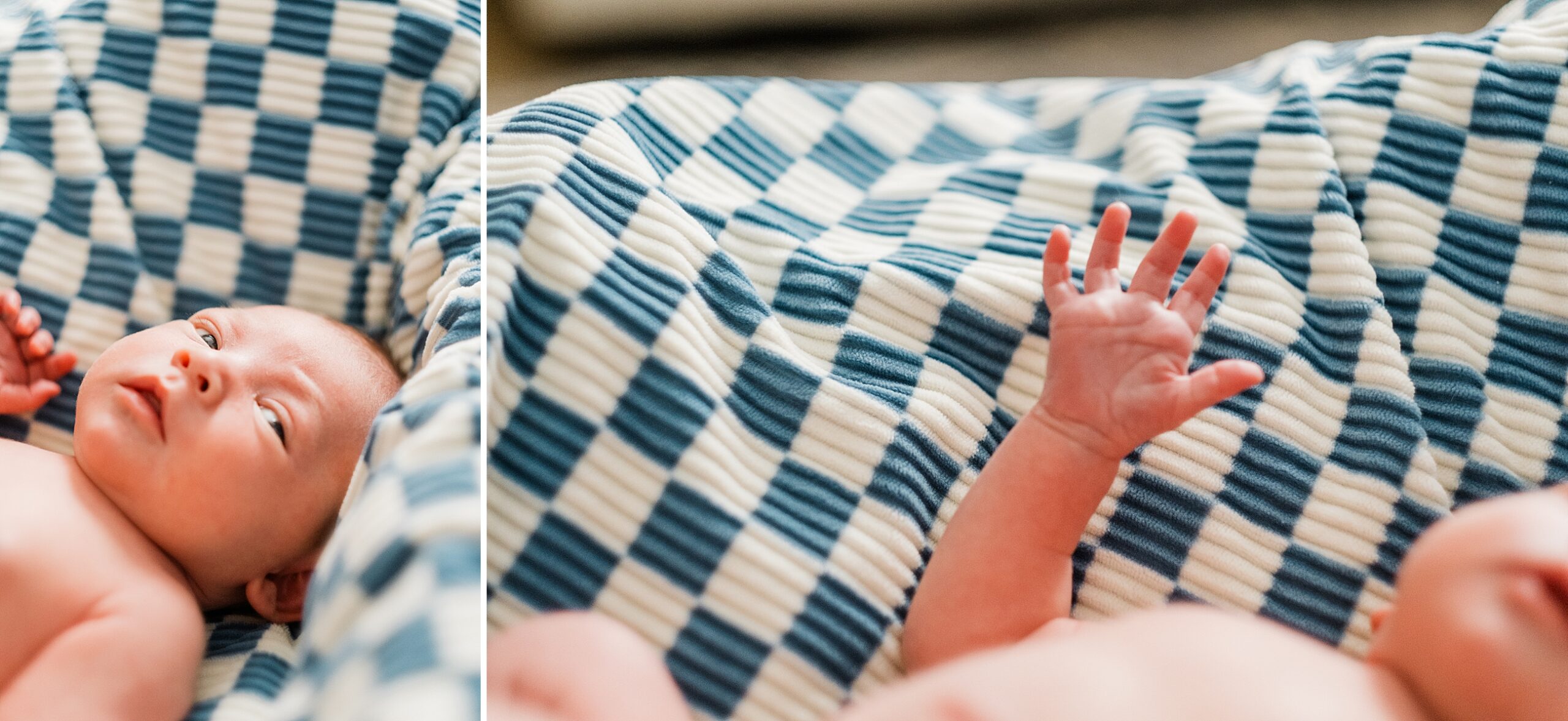 Johnson City TN family photographer