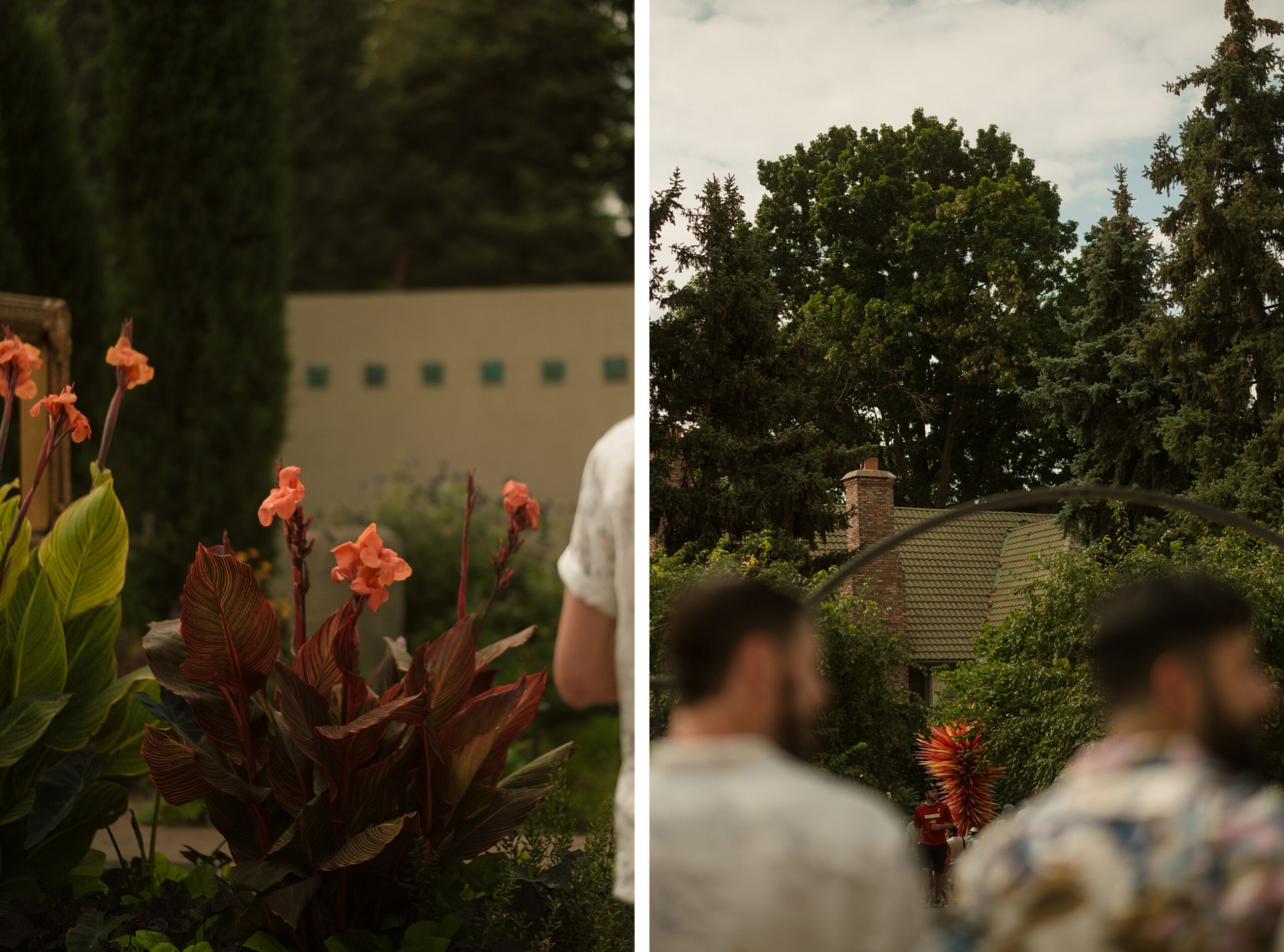 Denver Botanic Garden Engagement