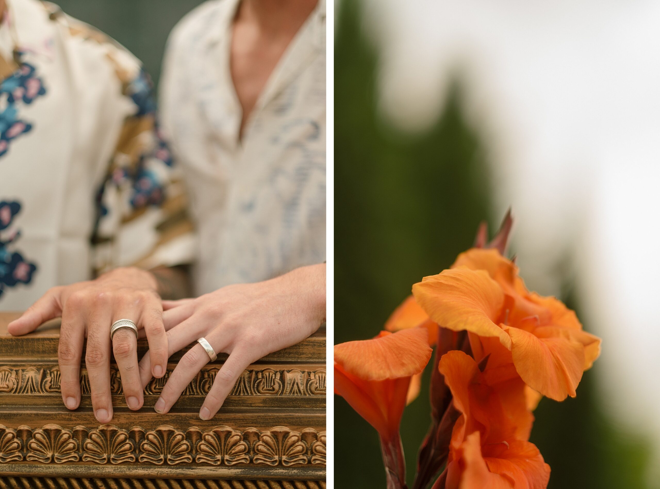 Denver Botanic Garden Engagement