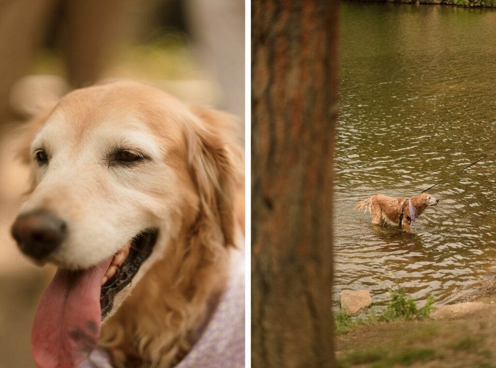 Destination Engagement Photographer