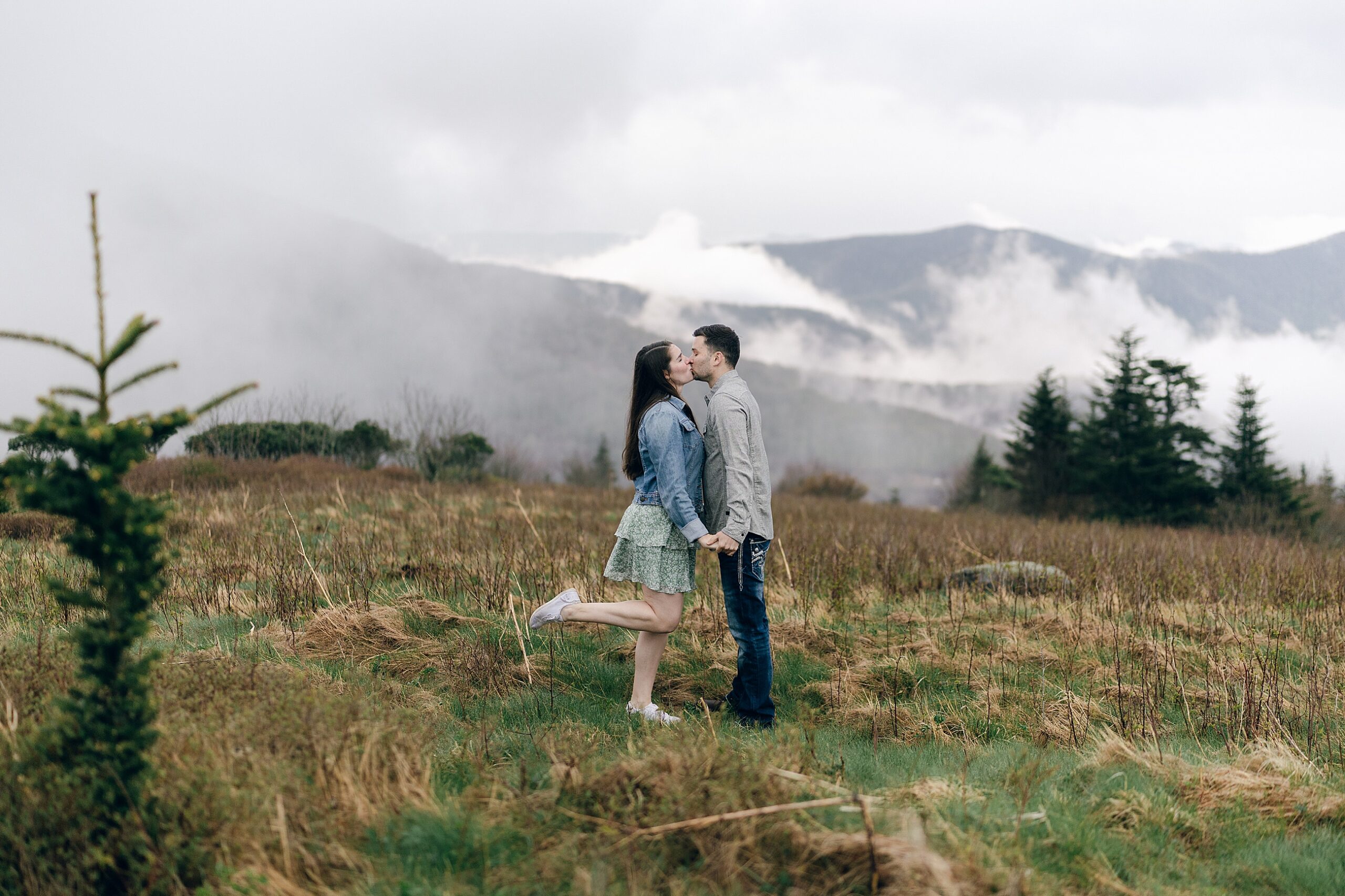 Roan Mountain State Park Engagement Session